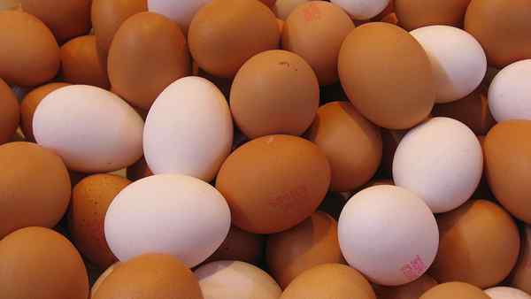 Diferencia entre los huevos blancos y los huevos marrones