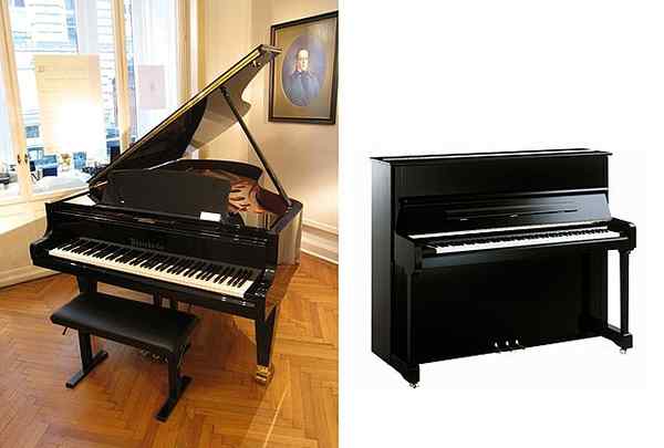 Différences entre le piano et le casio