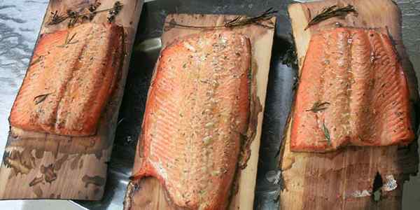 Salmon yang Dibesarkan Pertanian vs. Salmon liar