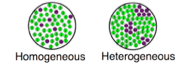 Homogène vs. Mélanges hétérogènes