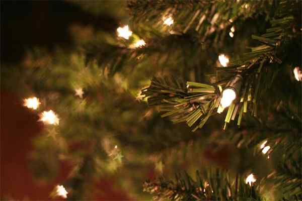 Nyata vs. Pohon Natal Buatan