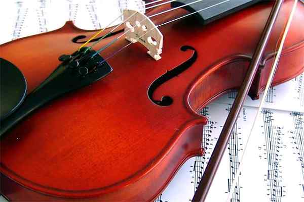 Viola vs. Geige