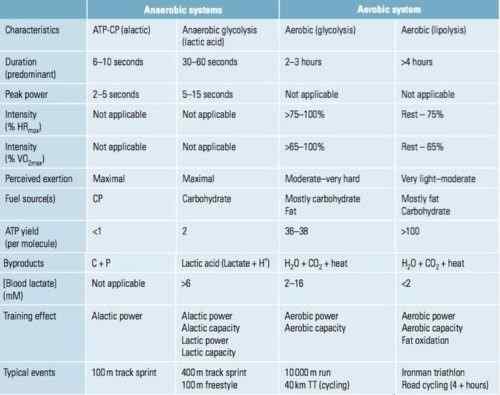 Unterschied zwischen aerobisch und anaeroben Glykolyse