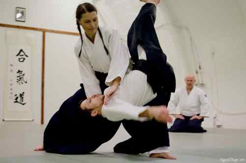 Perbezaan antara aikido dan karate