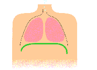 Différence entre la respiration et la respiration