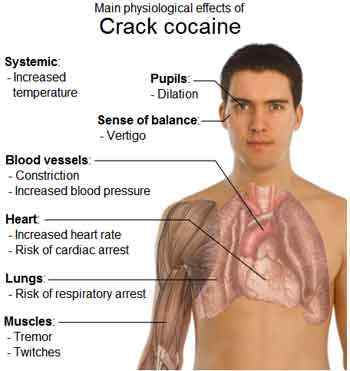 Diferencia entre cocaína y cafeína