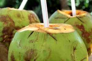 Perbedaan antara air kelapa dan santan