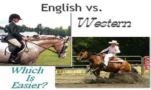 Unterschied zwischen Englisch und Western Reiten