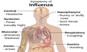 Diferencia entre la gripe y la fiebre