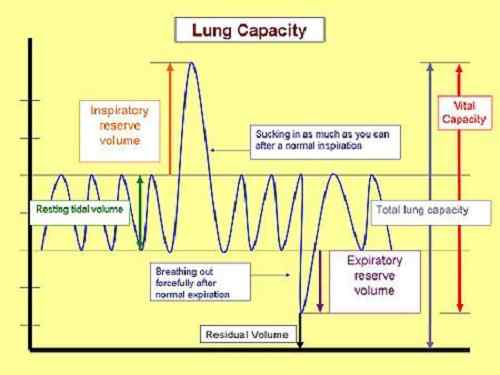 Différence entre la capacité vitale forcée et la capacité vitale