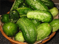 Unterschied zwischen Gherkins und Gurken