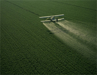 Diferencia entre herbicida e insecticida