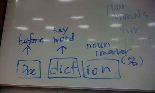 Différence entre l'inférence et la prédiction