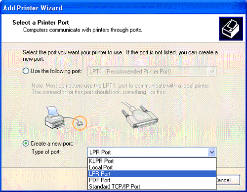 Diferencia entre LPR y RAW