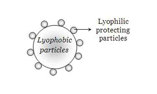 Différence entre lyophilique et lyophobe.