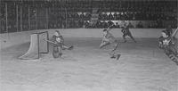 Différence entre la LNH et l'AHL