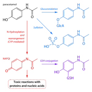 Unterschied zwischen NSAIDs und Paracetamol