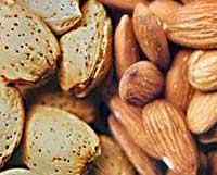 Diferencia entre nueces y semillas