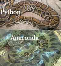 Perbezaan antara python dan anaconda