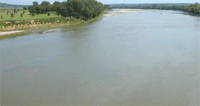 Différence entre l'eau salée et l'eau douce