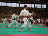 Różnica między Shotokan i Bushido