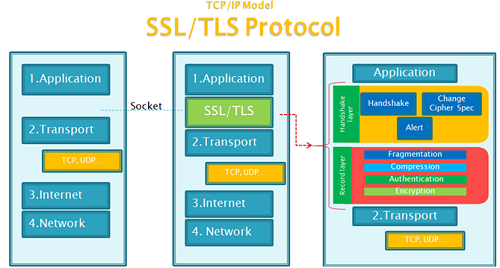 Perbezaan antara TLS dan SSL