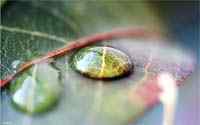 Unterschied zwischen wassersicher und wasserfest