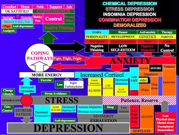 Diferencias entre SSRI y SNRIS