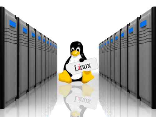 La diferencia entre el alojamiento de Linux y Windows